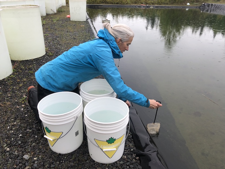Katie Peichel inversion ponds 2022