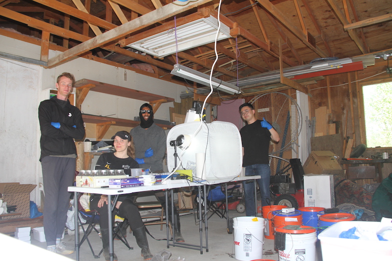 Alaska QTL team in the lab